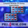 Leopard Miracle Of Honey Instructions 05